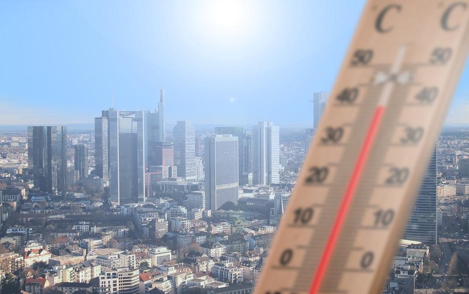 COP29 帶來哪些突破?全球碳市場與氣候透明度將如何改變未來?